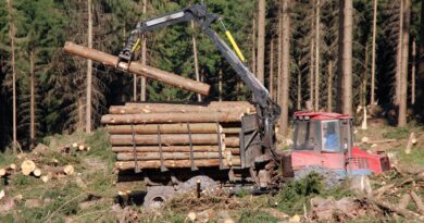 Maszyny leśne – jakiego sprzętu używa się podczas prac leśnych?